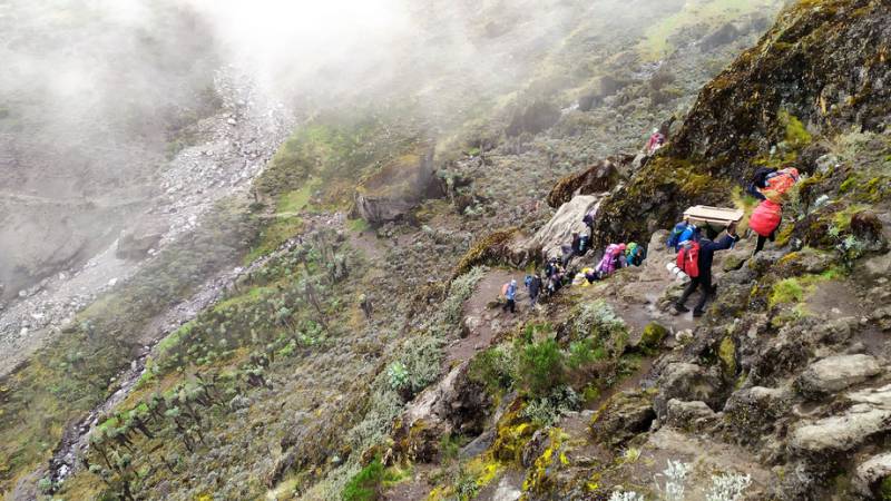 Kilimanjaro Climb Umbwe Route 8 Days Tour