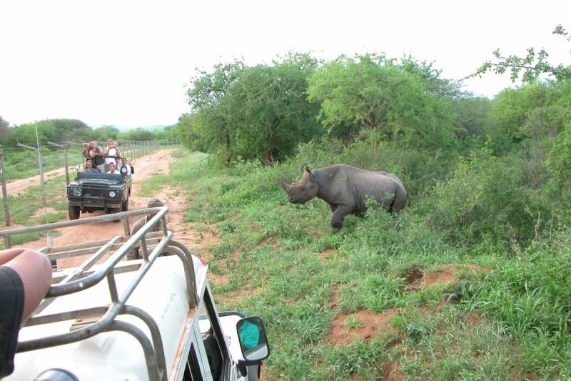 8 Days Northern Tanzania Flying Safari Tour