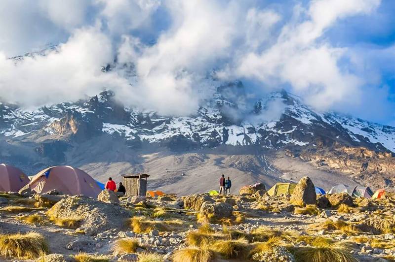 9 Days Kilimanjaro Trekking Machame Route Tour