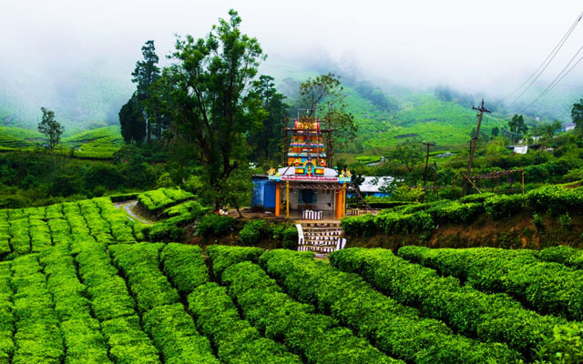 Megamalai Tour 1 Nights 2 Days