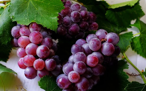 Megamalai Tour 1 Nights 2 Days