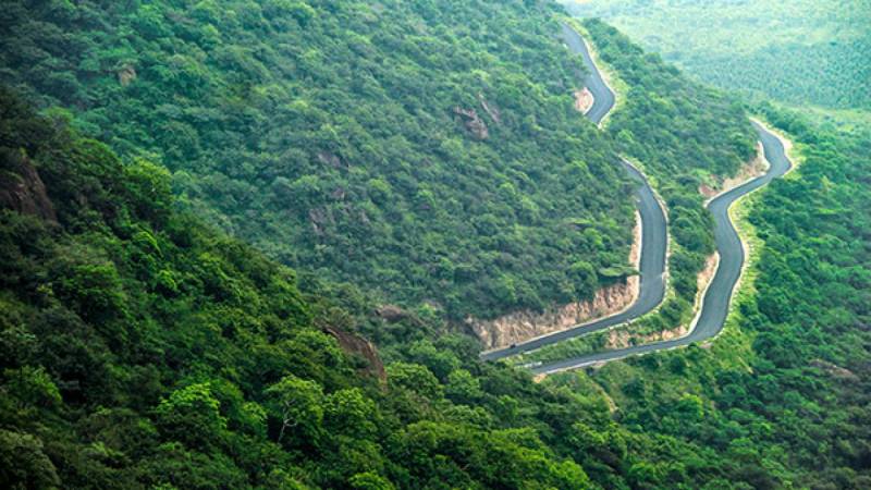 Kodaikanal Tour 1 Night / 2 Days