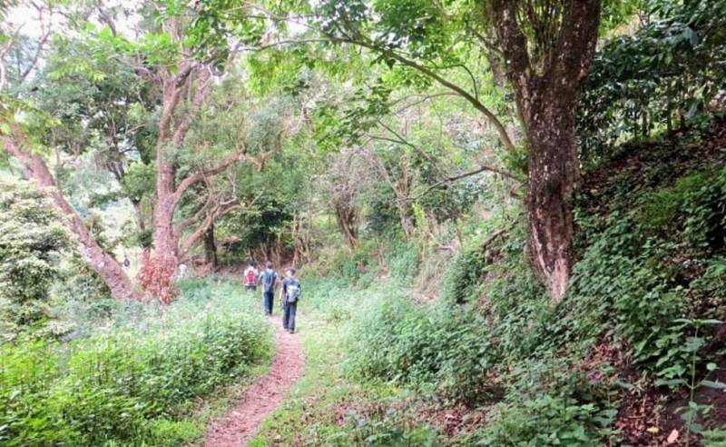 Kurangani Tour 1 Night / 2 Days