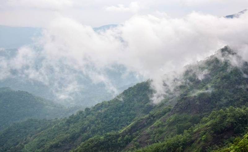 Vagamon Tour 2 Nights / 3 Days