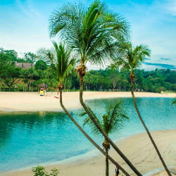 HIT- Singapore Image