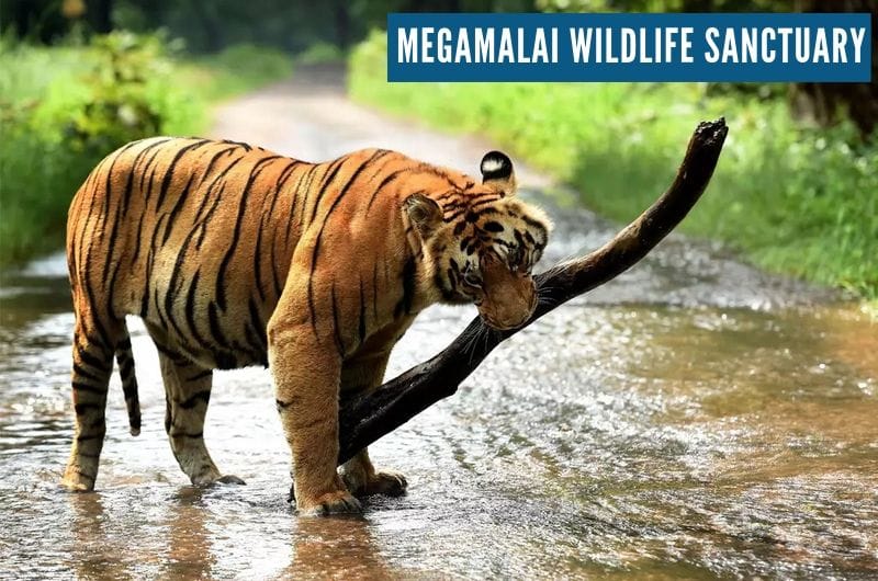 Theni,Megamalai 2N/3D Tour