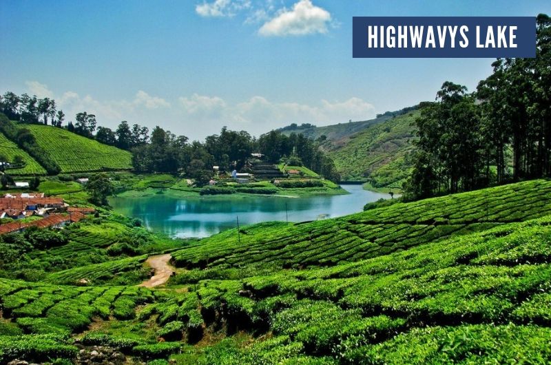 Theni,Megamalai 2N/3D Tour