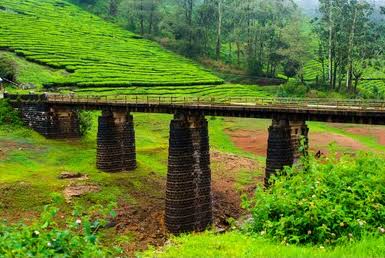 Megamalai Trekking Tour