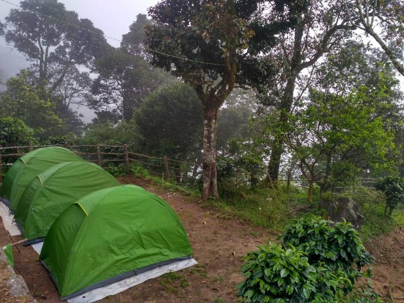 Camping Tour (Megamalai Hills)