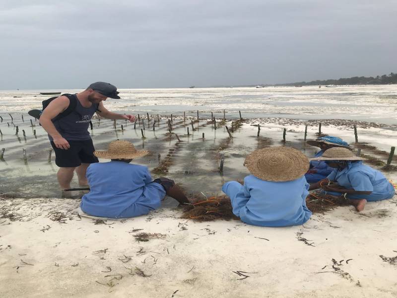 Private Tour Sea Weed Farming Tour