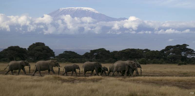 Tanzania Immersion - Northern Circuit Tour