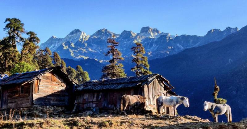 5 Days Darjeeling Gangtok Tour Package