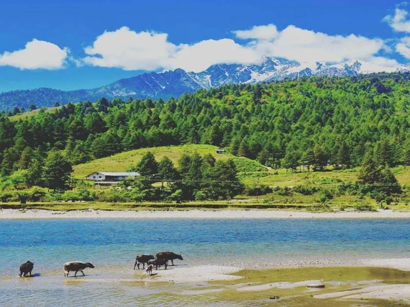 Discover the Mystical Mechuka - 7 Nights 8 Days