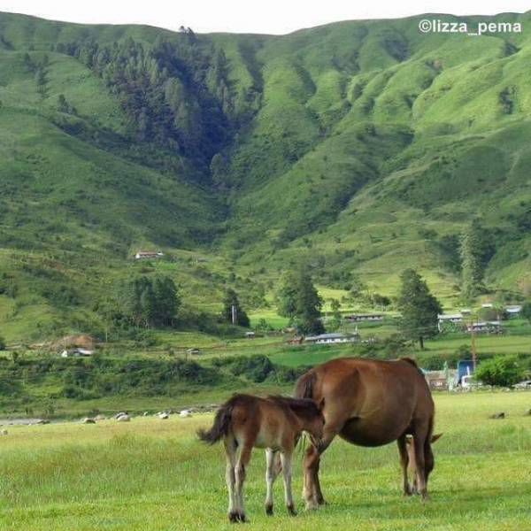 Discover the Mystical Mechuka - 7 Nights 8 Days