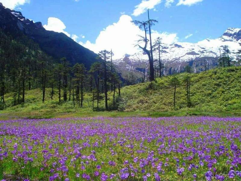 6 Night 7 Days Anini-The unexplored Paradise