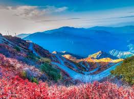 5 Nights ^Days Silk Route Sojourn