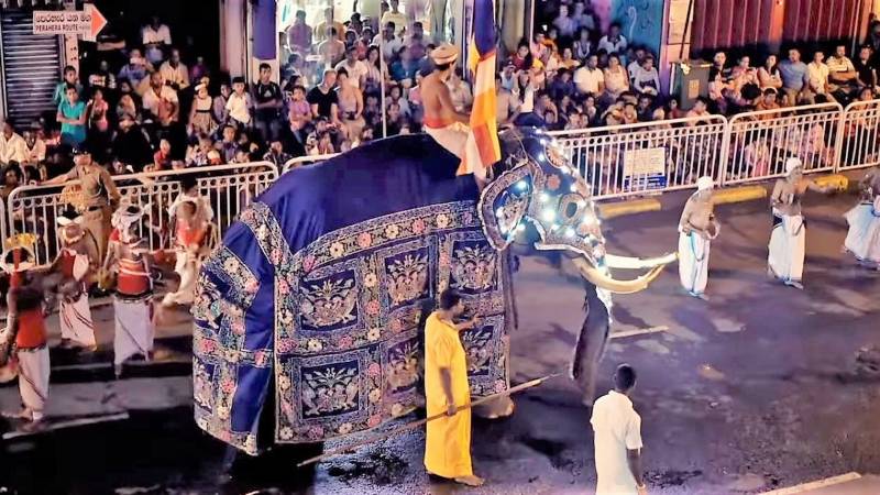 7 Nights 8 Days Package tor To Sri Lanka