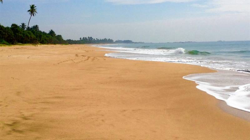 7 Nights 8 Days Package tor To Sri Lanka