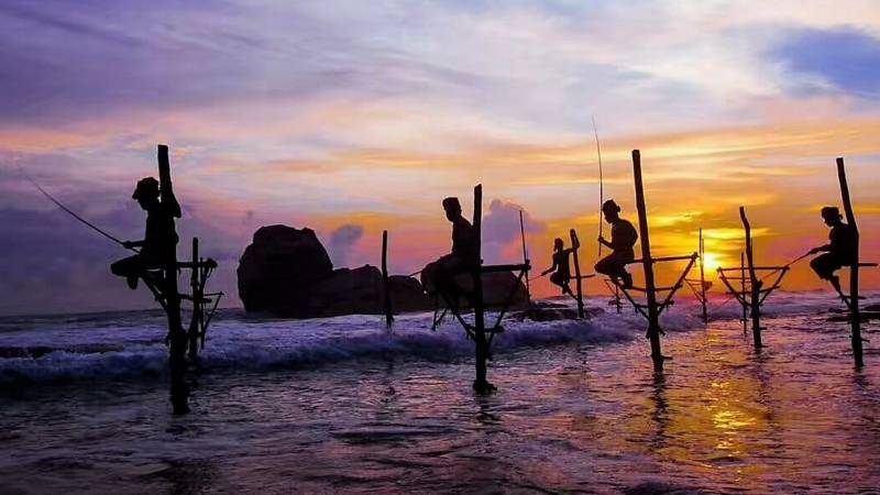 7 Nights 8 Days Package tor To Sri Lanka