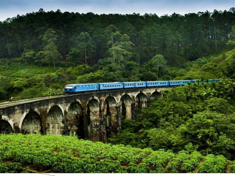 7 Nights 8 Days Package tor To Sri Lanka