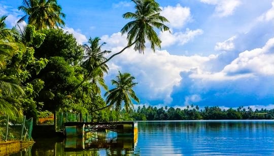 7 Nights 8 Days Package tor To Sri Lanka