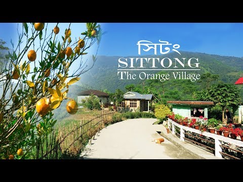 Charkhole, Kalimpong, Sitong, Dooars, Darjeeling, Jhandi Economic Tour Package