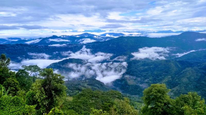 Charkhole, Kalimpong, Sitong, Dooars, Darjeeling, Jhandi Economic Tour Package