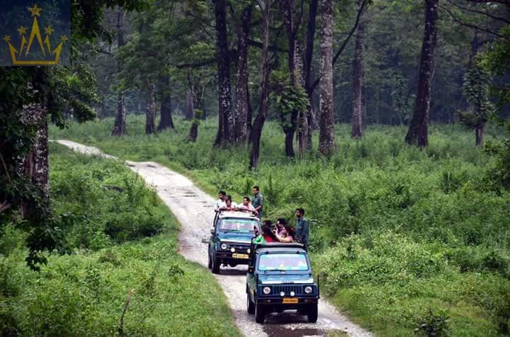 Charkhole, Kalimpong, Sitong, Dooars, Darjeeling, Jhandi Economic Tour Package