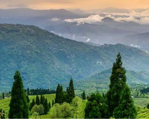 Charkhole Sitong tour package