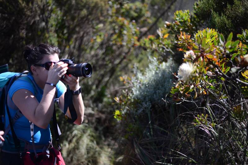 Kilimanjaro Climbing Via Lemosho Route
