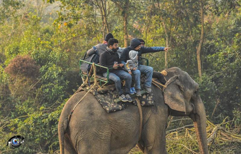 3 Night 4 Day Omar Kaziranga Tour Package