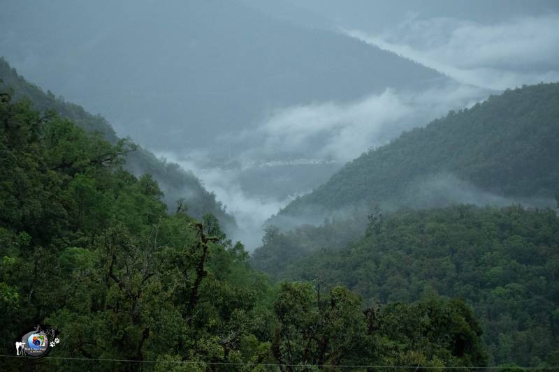 The Songs of feathers - Eagle nest Wildlife Sanctuary Image