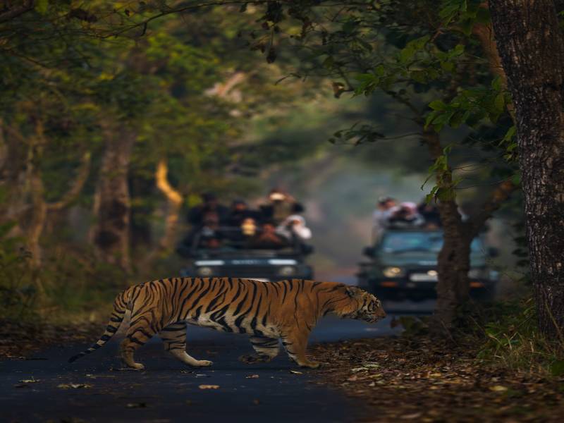 Nainital - Jim Corbett Tour Package
