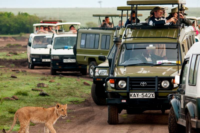 3 Nights 4Days Masai Mara and Lake Nakuru Midrange Safari