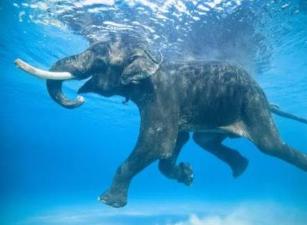 4 Nights 5 Days Best In Andaman package