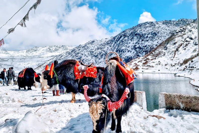 Picturesque Himalaya