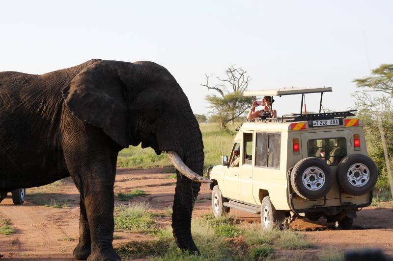 Tanzania Private Safari Tour