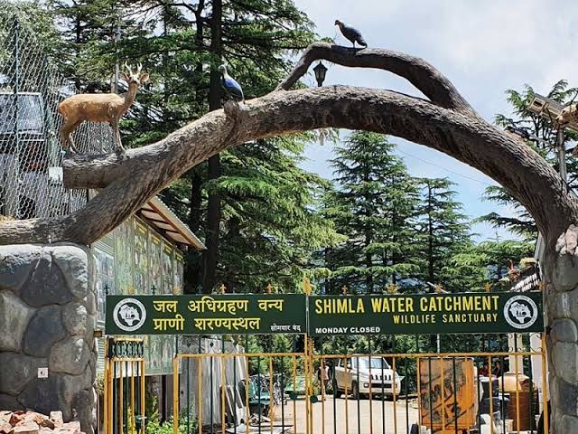 3 Days 2 Nights Kalka-Shimla Tour