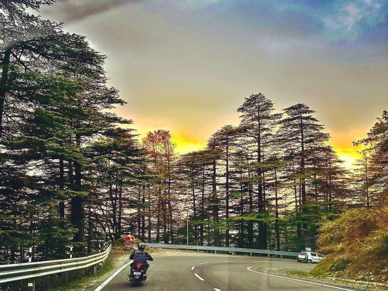 Shimla Summer Package (4 Nights/5 Days)