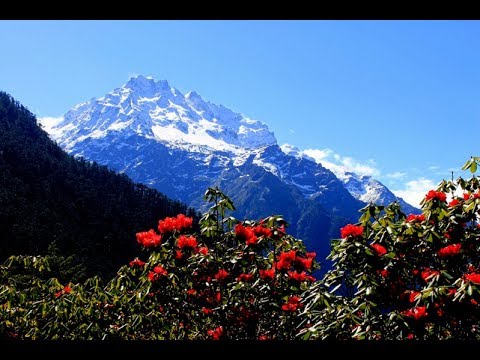 4 Night/5 Days Sikkim Tour