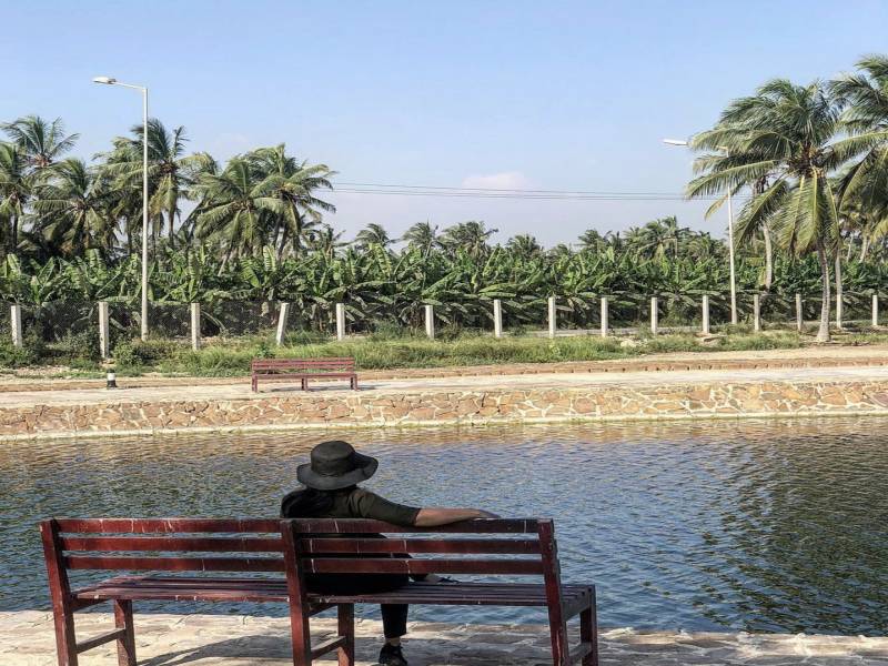 Salalah City Tour (Half-Day Tour) - Oman