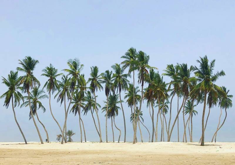 Salalah City Tour (Half-Day Tour) - Oman