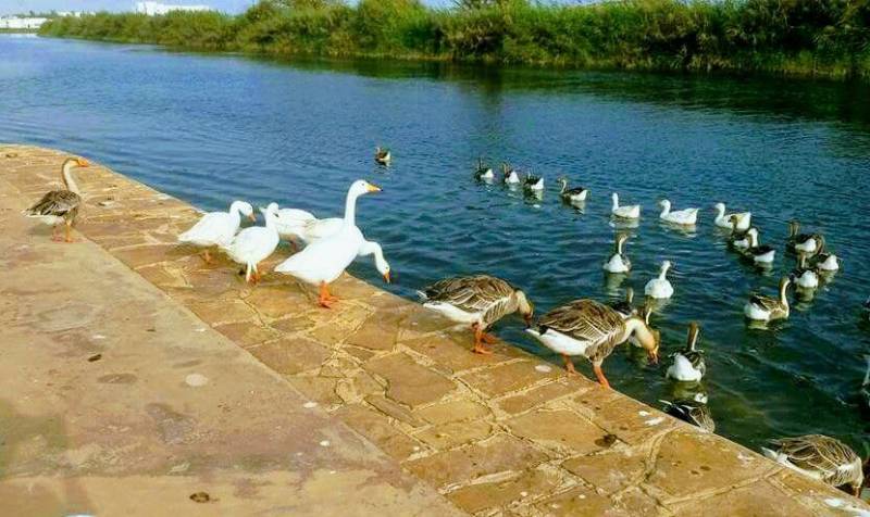 Salalah City Tour (Half-Day Tour) - Oman