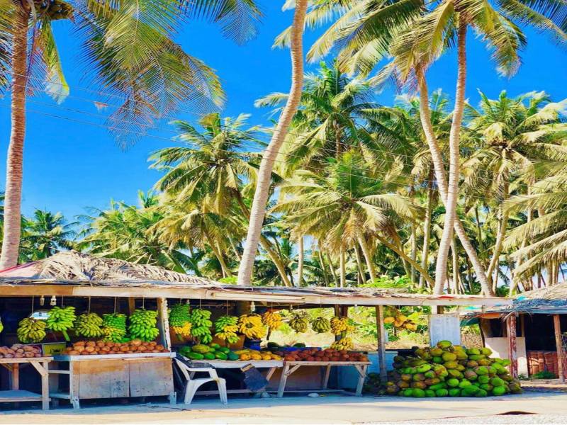 Salalah City Tour (Half-Day Tour) - Oman