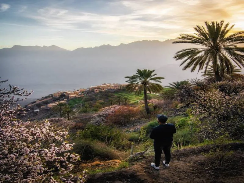 Nakhal Tour - Muscat, Oman