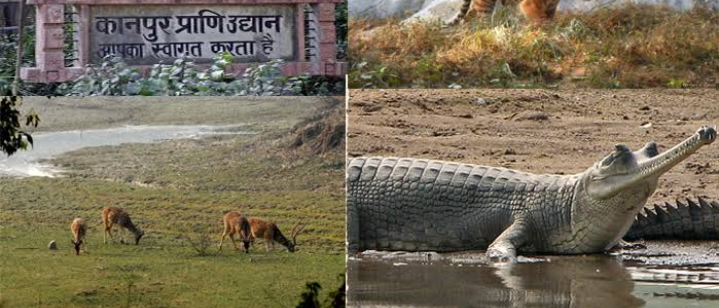 5 Night 6 Days kanpur- Lucknow Tour Packages