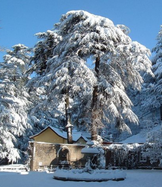 Mussoorie (Queen of Hills) 4night 5days Honeymoon Tour Package