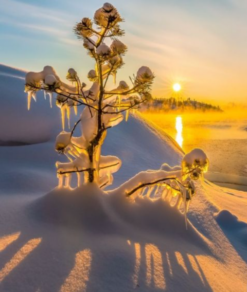 Mussoorie (Queen of Hills) 4night 5days Honeymoon Tour Package