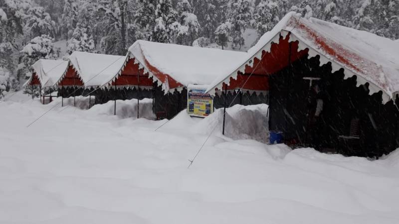 Chopta (Mini Switzerland) Tour Package