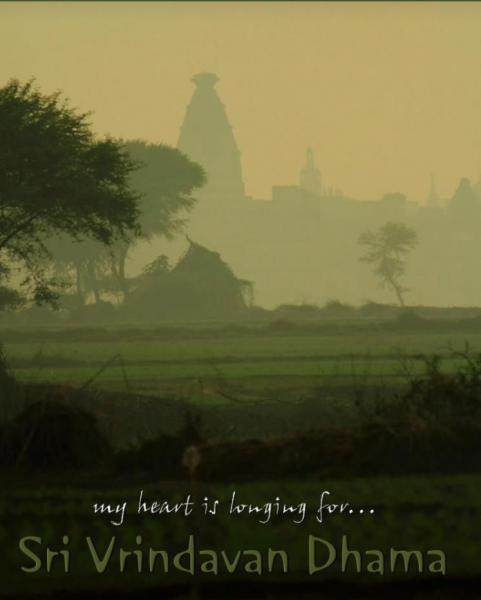 Mathura Vrindavan tour package